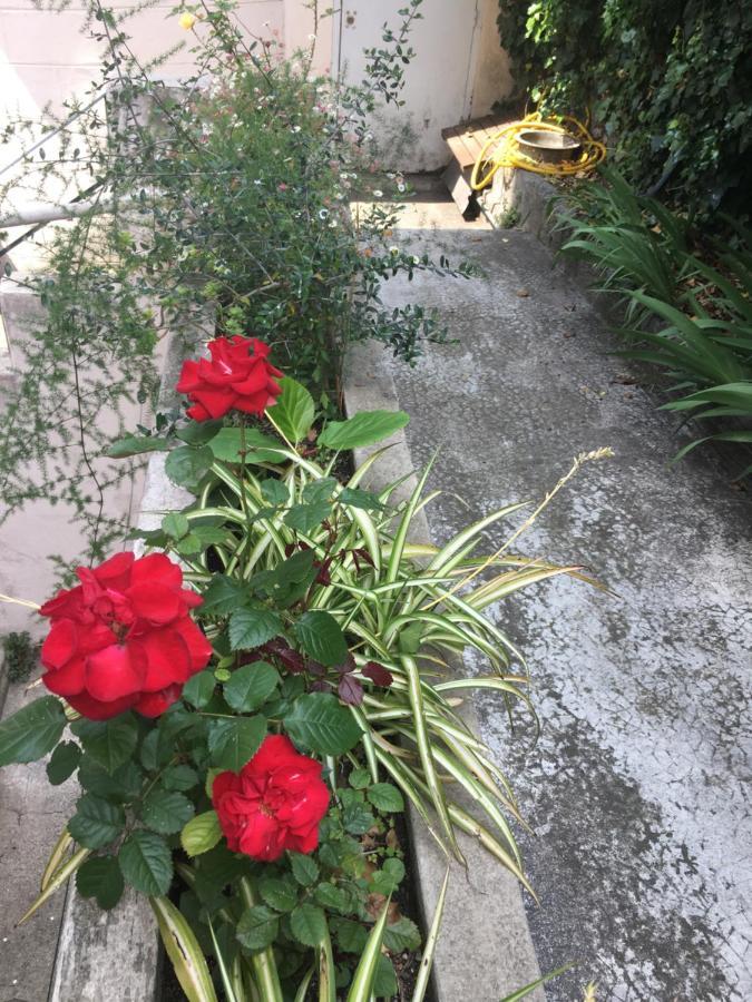 Les Palmiers Niceairport, Beach200M, 2Bedrooms, Wifi Optic 외부 사진